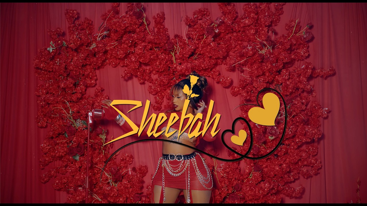 Da-Re - Sheebah (Valentine Visualizer)