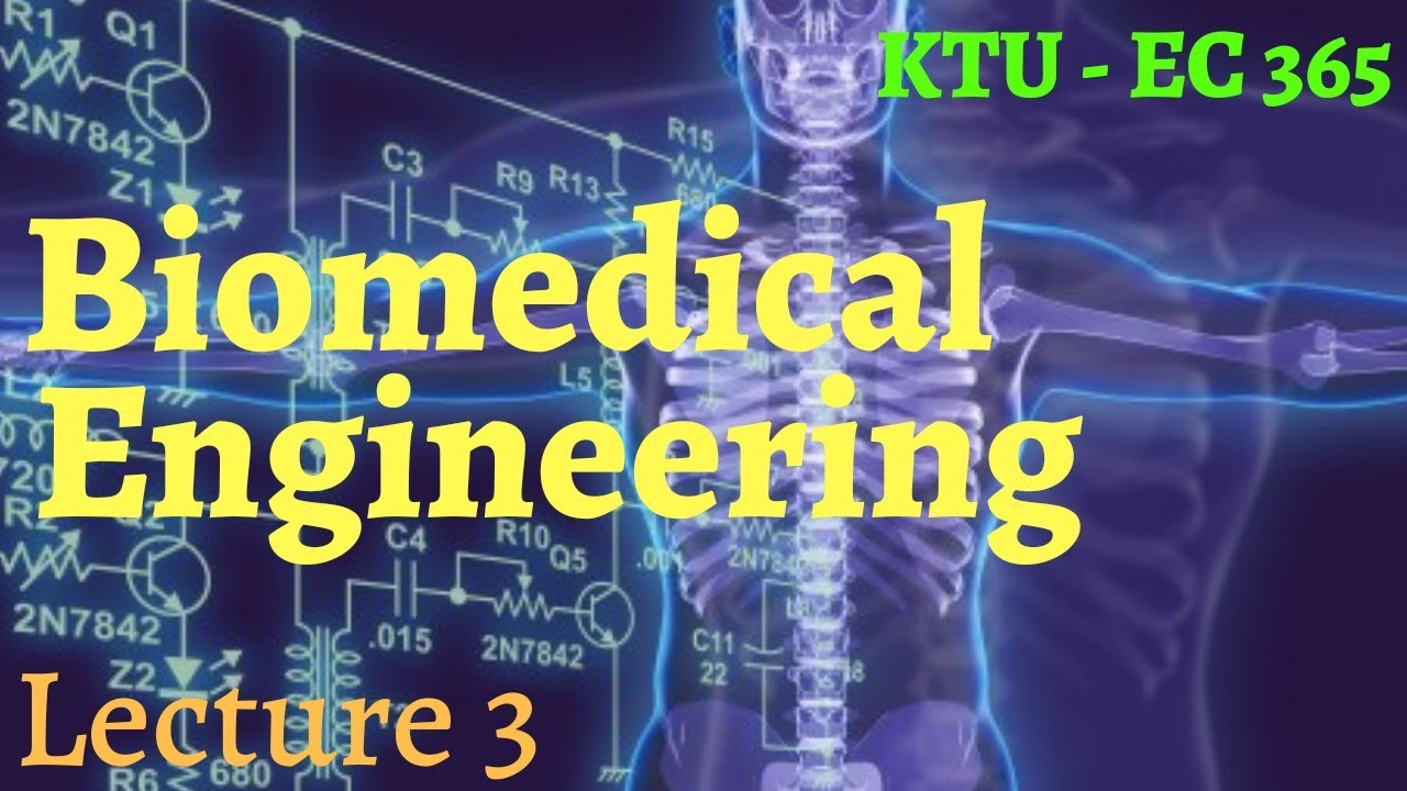 EC365 BIOMEDICAL ENGINEERING|NERVOUS SYSTEM || ANATOMY OF BRAIN || MODULE1 || LECT 3