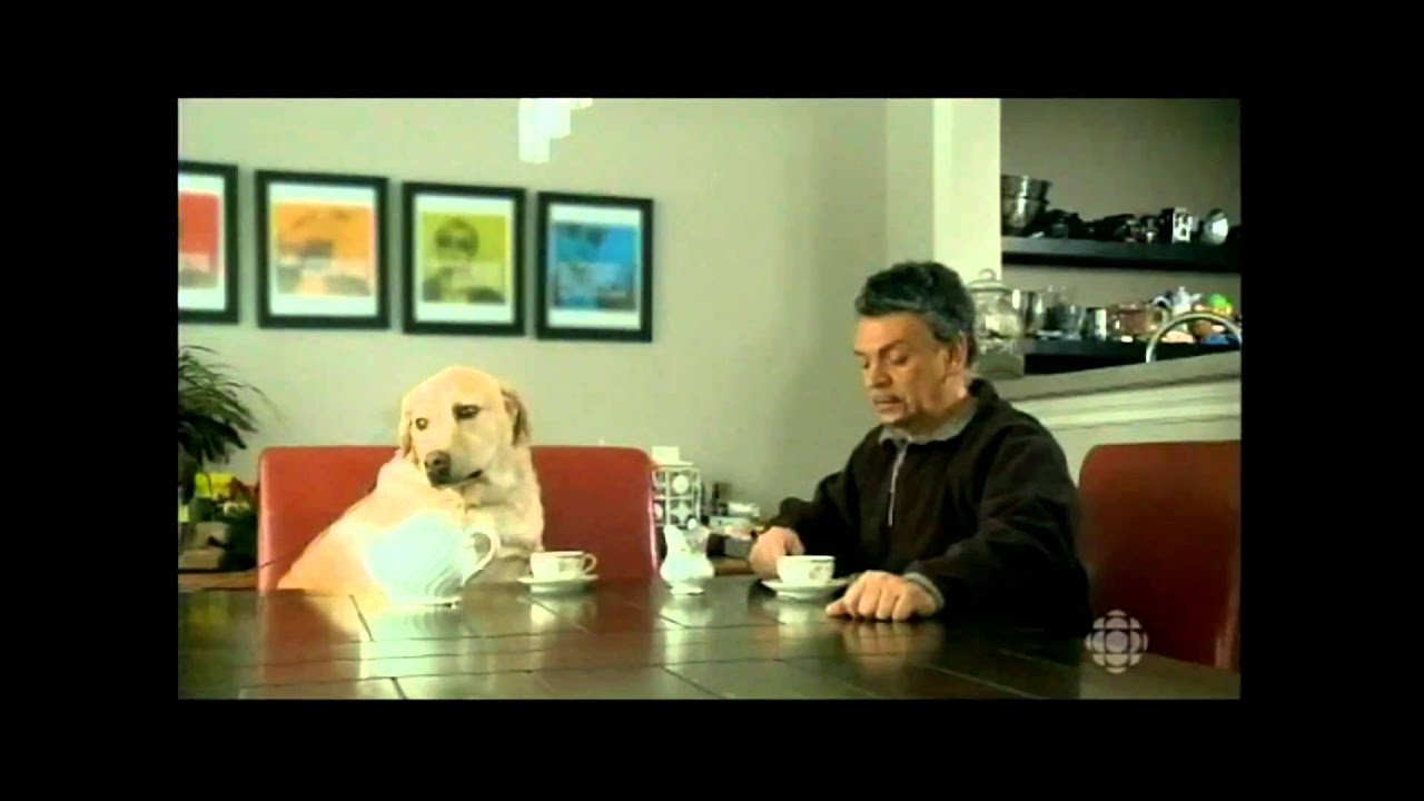 CESAR L HOMME QUI PARLE AUX CHIENS