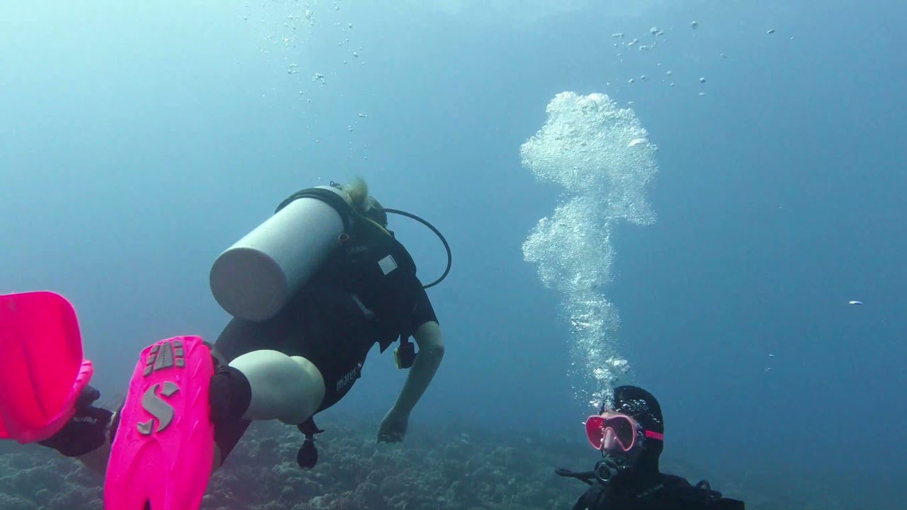 Diving the reefs of Moorea!