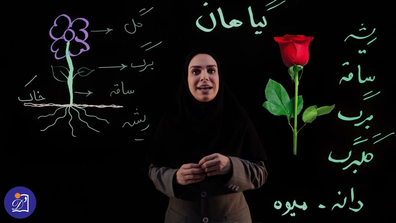 دبستان دی - پایه سوم - علوم - درس یازدهم - بکارید و ببینید