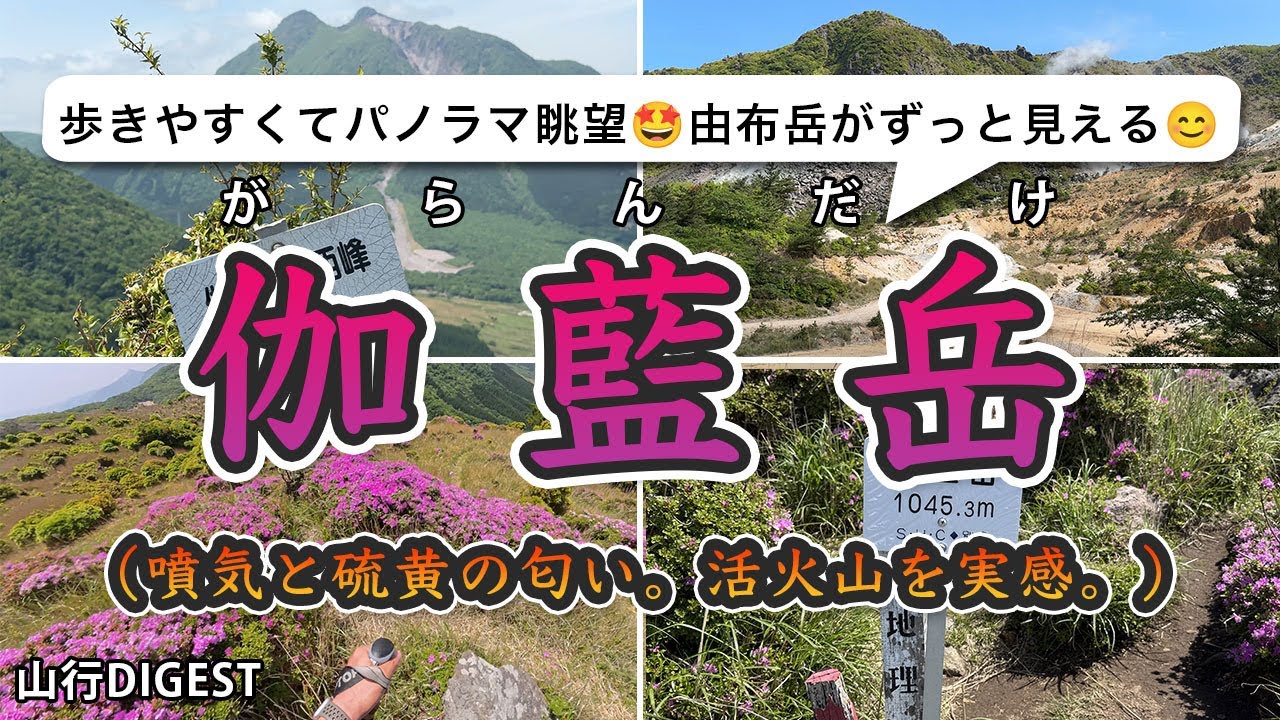 【 伽藍岳】歩きやすくて眺望最高な活火山。由布岳がずっと目の前に🤩【火口跡の噴気と硫黄】