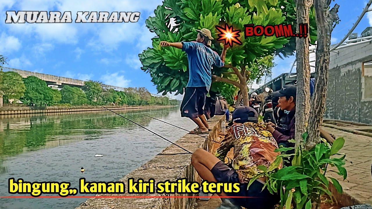 Pertama kali mancing ikan bandeng liar, ternyata banyak di sungai ini