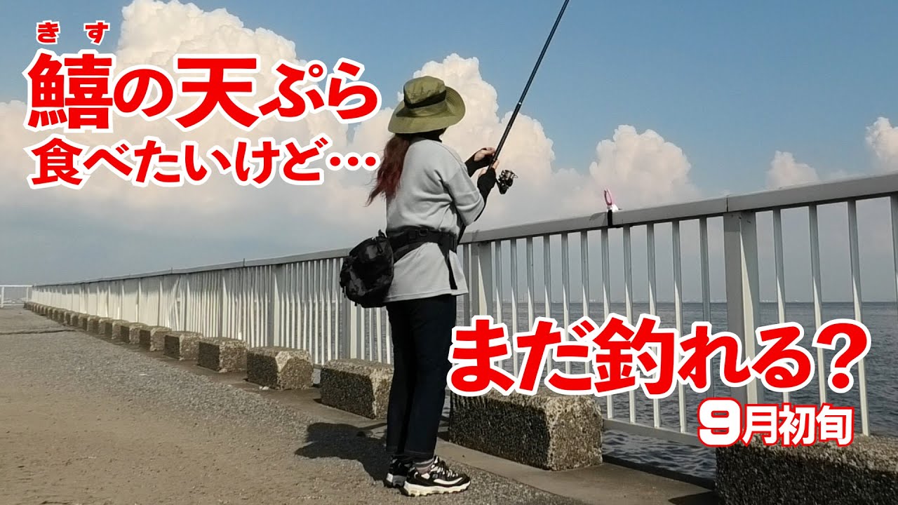 【釣り】鱚(キス)の天ぷらが食べたい！ まだ釣れるの？