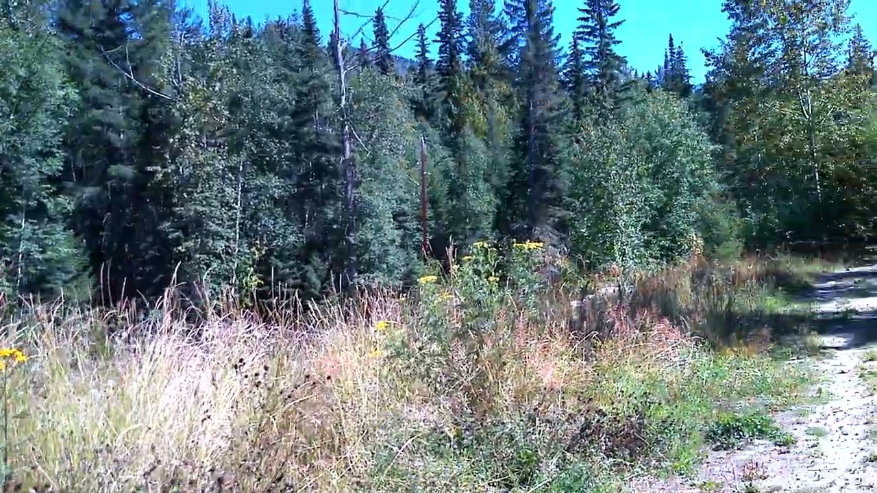 Valemount British Columbia