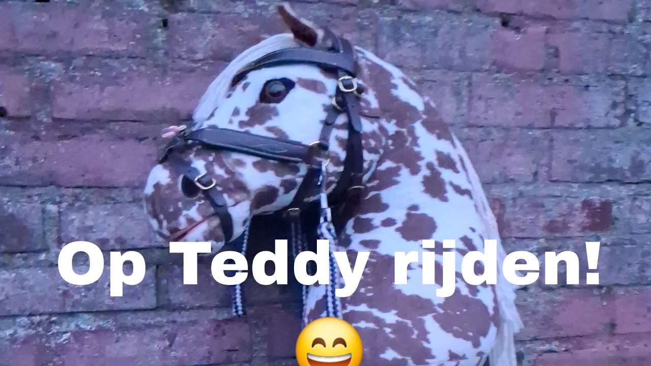 Op Teddy rijden 😃 #Pintohobbyhorses 