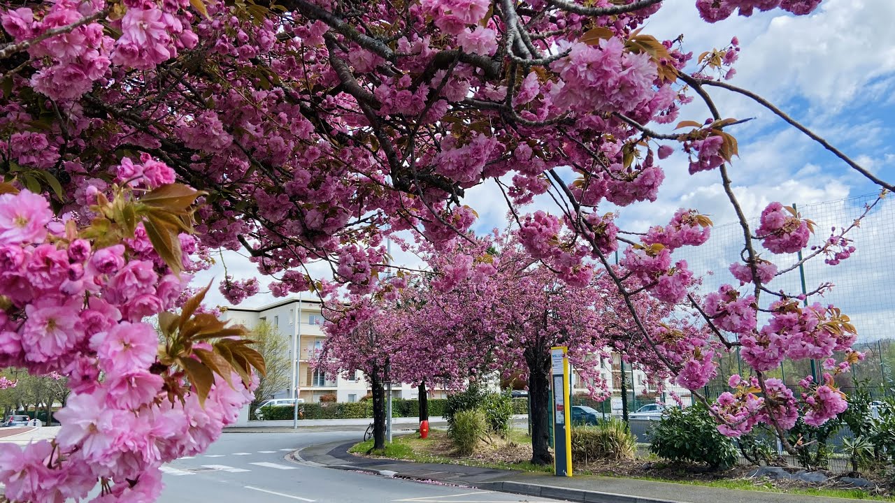 Printemps à Montluçon 2022