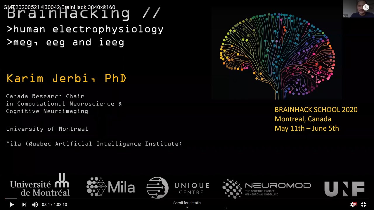 Introduction to human electrophysiology (MEG, EEG, iEEG)