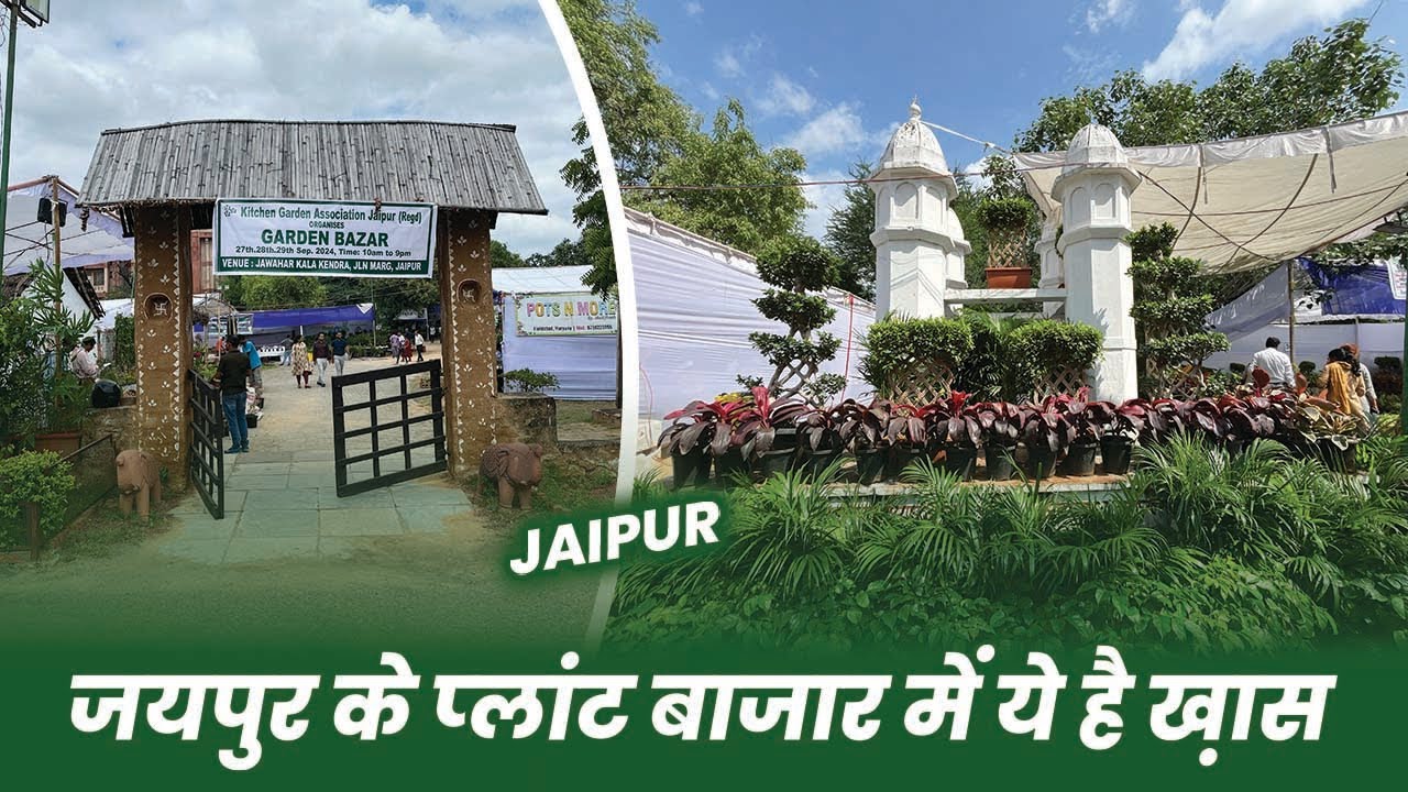 जयपुर का गार्डन बाज़ार 🪴 Garden Bazar Jaipur 2024 😱 Full Info