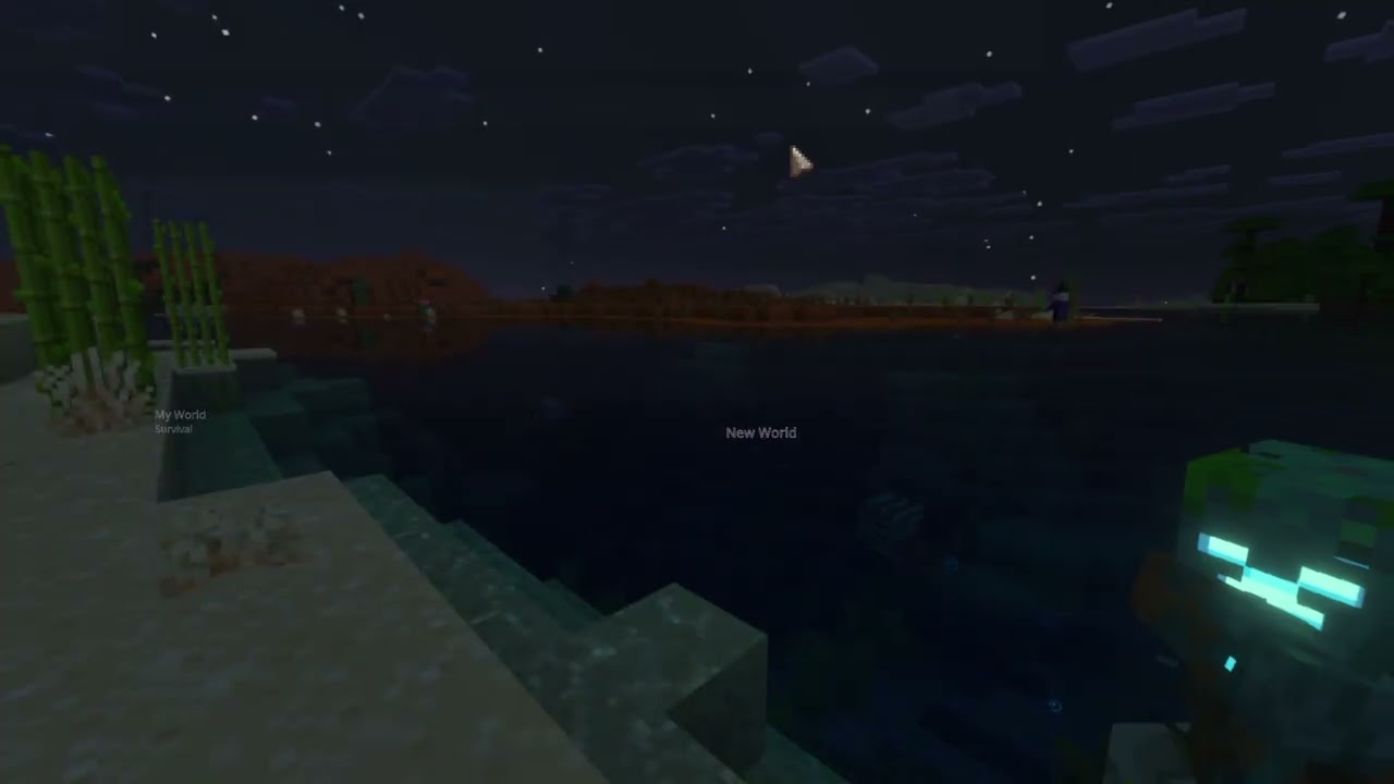 Minecraft_20260216153827