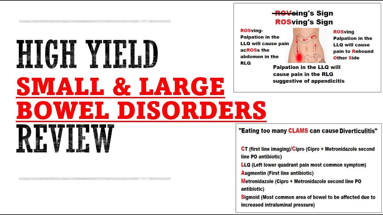 Small & Large Bowel Disorders Review | Mnemonics And Proven Ways To Memorize for your exams!