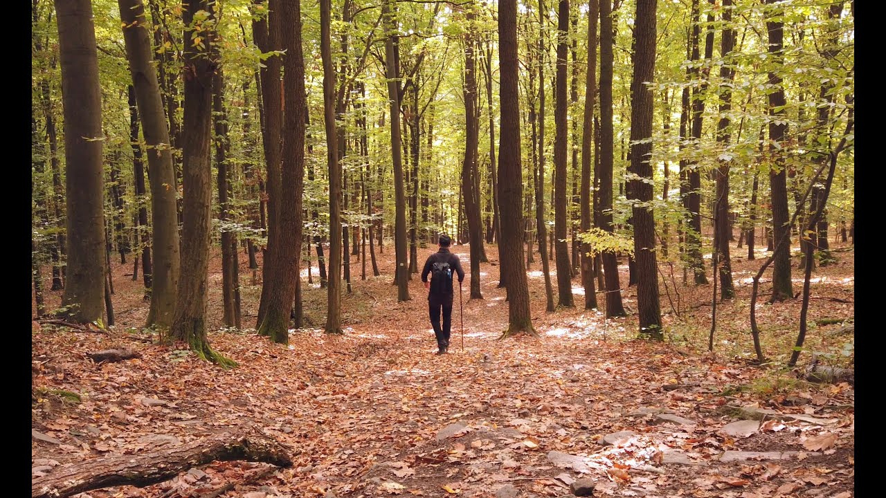 Solo hiking the highest peak of Hungary - Kékes, 1014 m