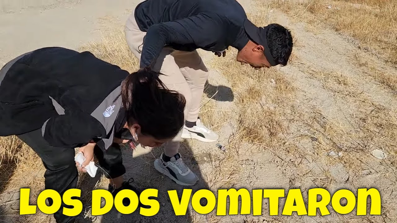 Bessy no aguantó más y vomitó, pero Diablo se le unió. Estamos en camino a ver a ballenas