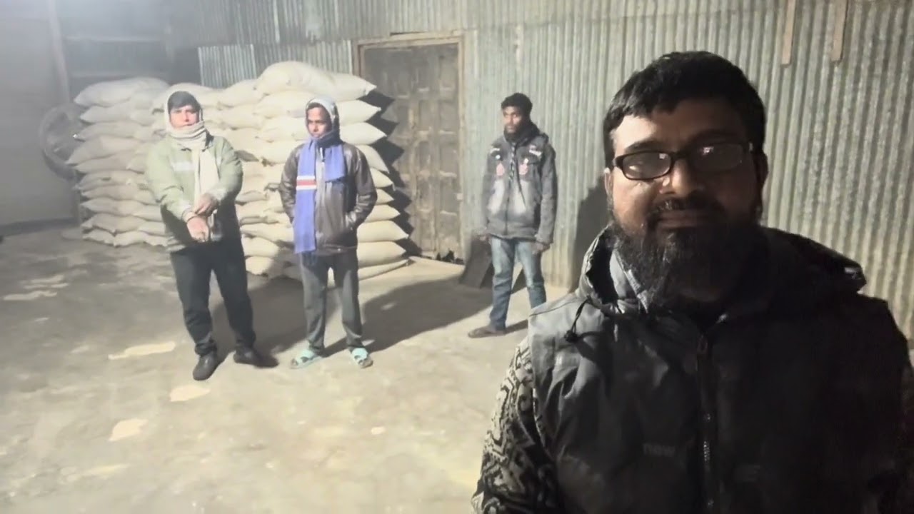 গরুর খাদ্যের জন্য ভুট্রা ভাঙ্গানো | Maize Crushing Process | Rizik Agro Feed    #Cowfeed #cowhealth 