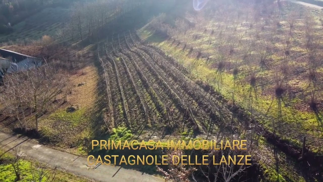 TERRENO AGRICOLO