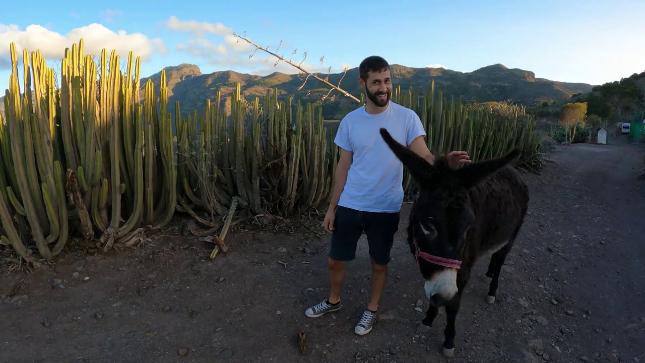Tirma, Gran Canaria