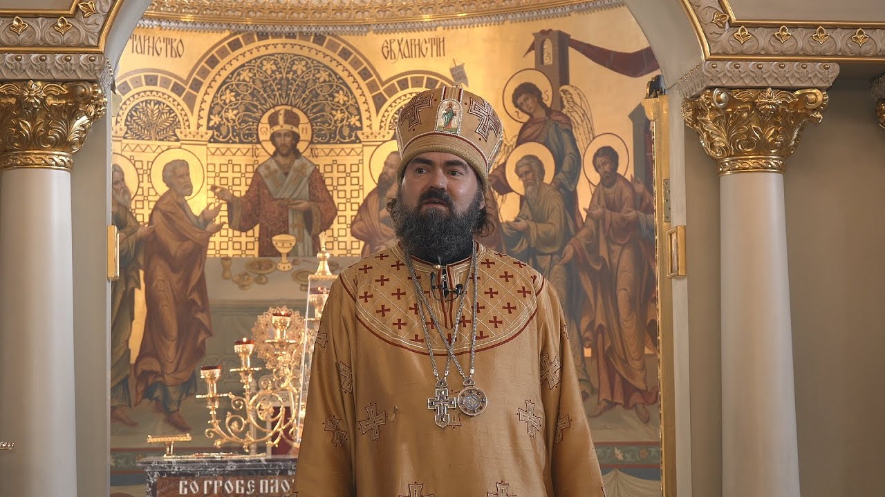 О жестокости и милосердии