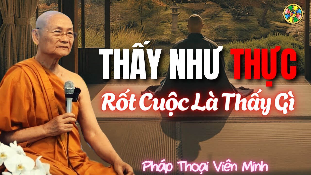 Thấy Pháp Như Nó Đang Là – Rốt Cuộc Là Thấy Gì? | Pháp Thoại Viên Minh