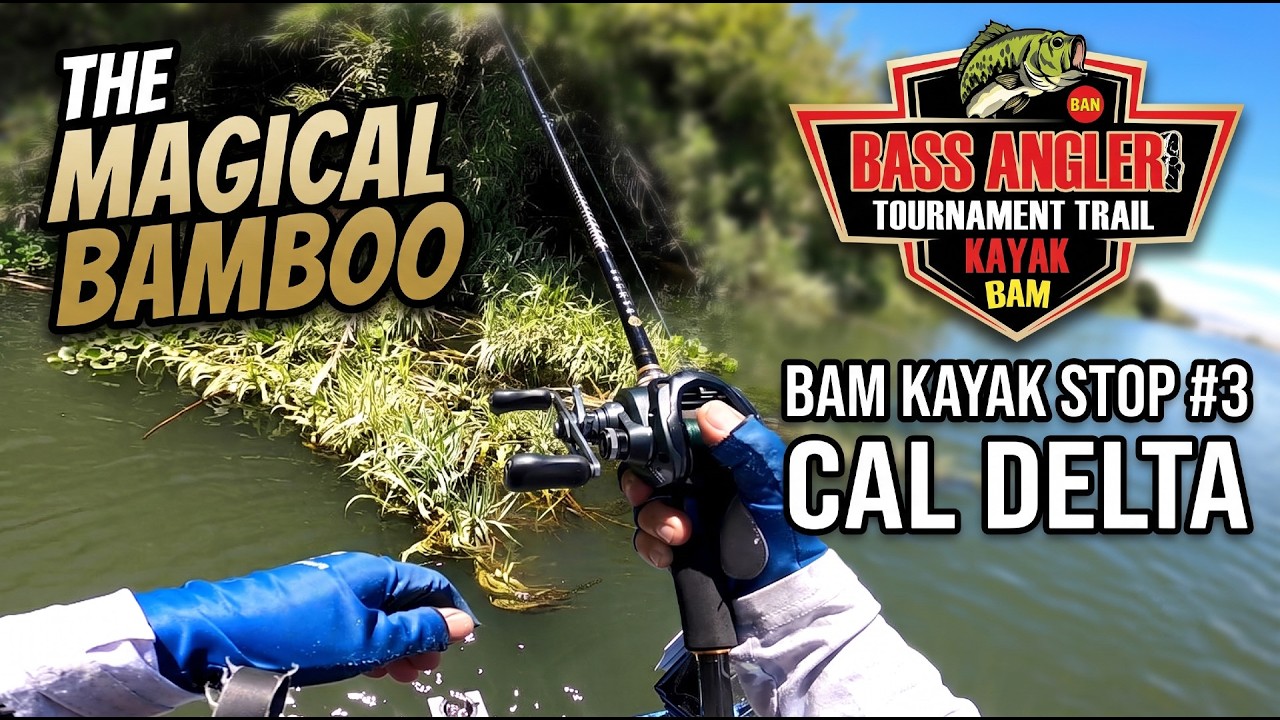 The Magical Bamboo On the California Delta