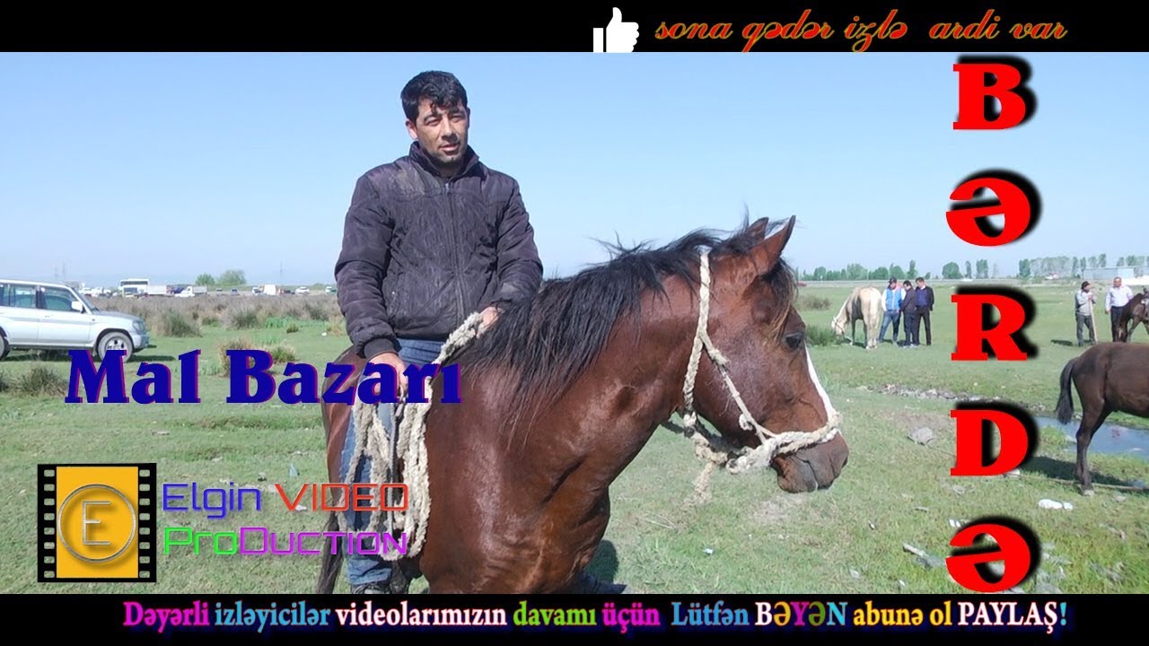 Berde Mal Bazari AT QOYUN QUZU TOXLY 1 ci hisse ardi 2 ci hissede