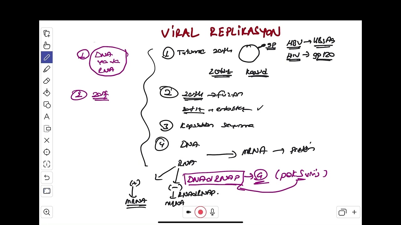 VİRAL REPLİKASYON