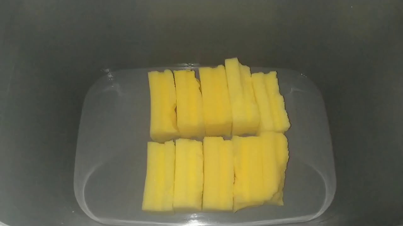 Sponge Asmr | Sponge Ripping | Sponge Sounds