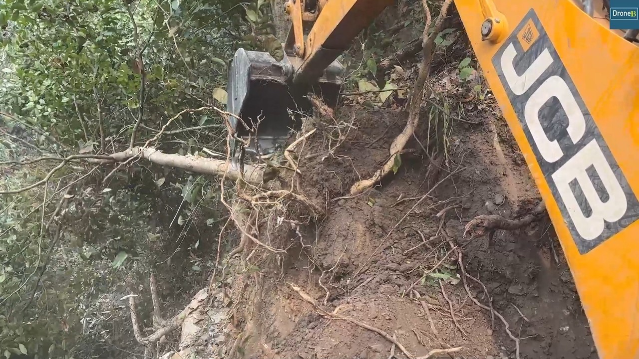 Reached Woods-Deep in the Mountain Jungle Cutting Hillside for New Road Track