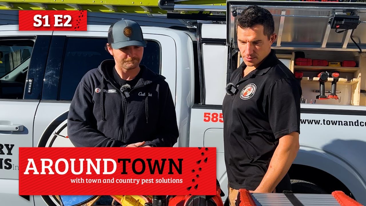 Tools for the Pest Pro | Around Town