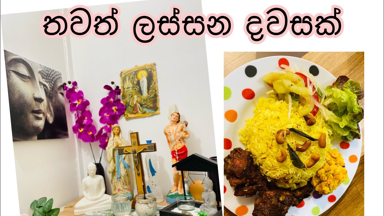 My Life in France - A day in my life (Sinhala)  🇫🇷