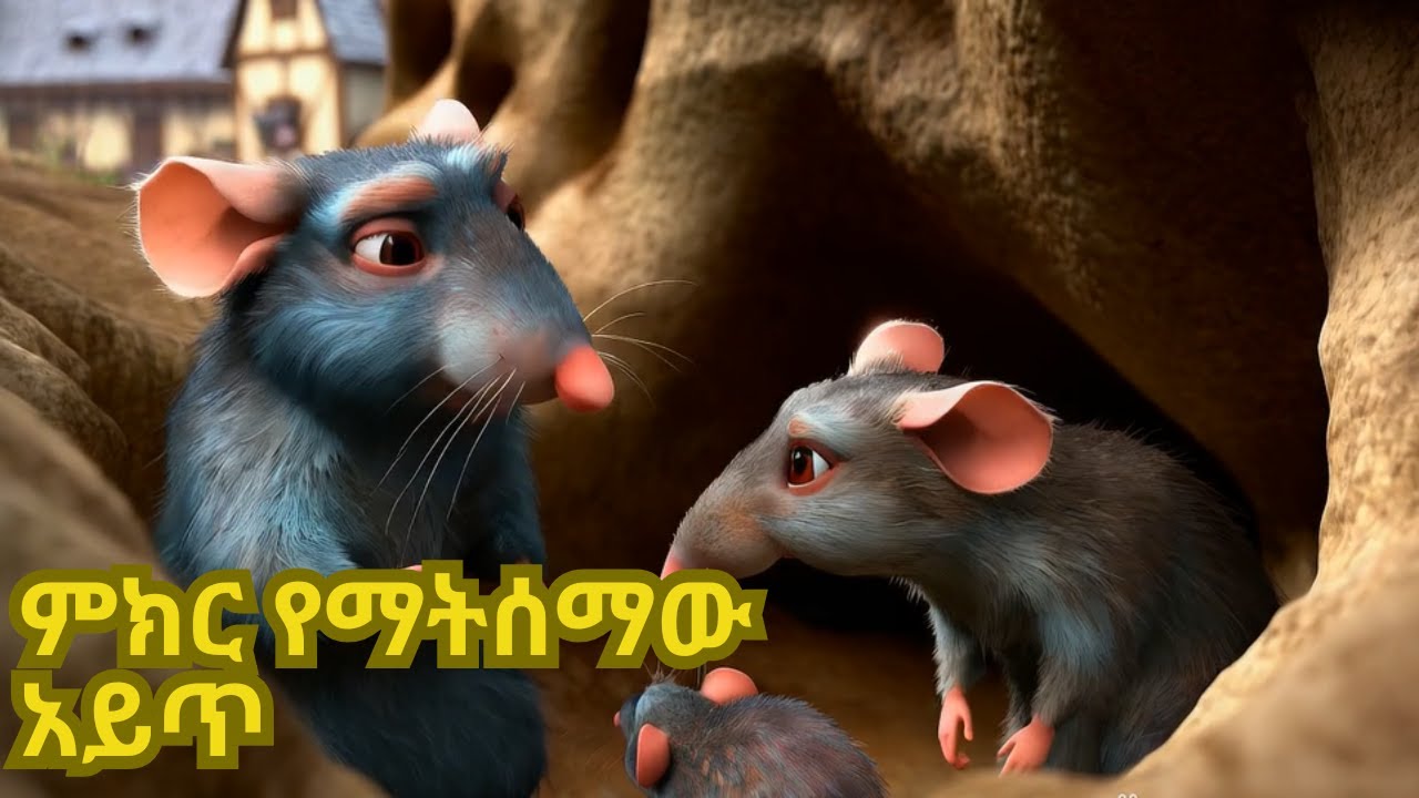 Not Listening Advice Rat || ምክር የማሰማው አይጥ ፣ ኢትዮ ተረት ተረት