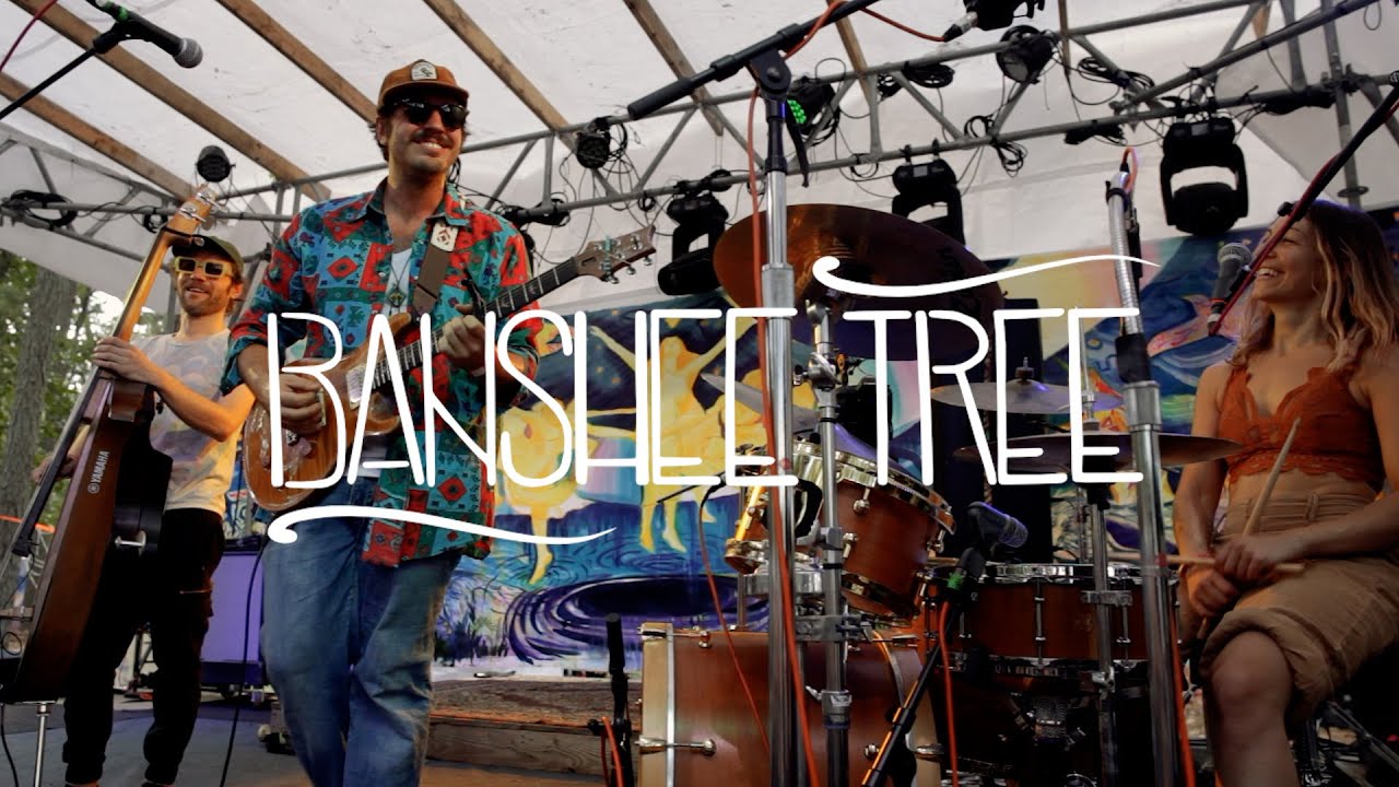 Banshee Tree - Bright Blue Light - 6/15/24 Beardfest , Hammonton, NJ