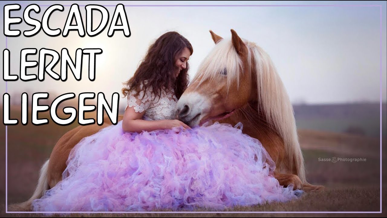 Escada lernt liegen ✮ Arten wie dus auch deinem Pferd beibringen kannst  ♥