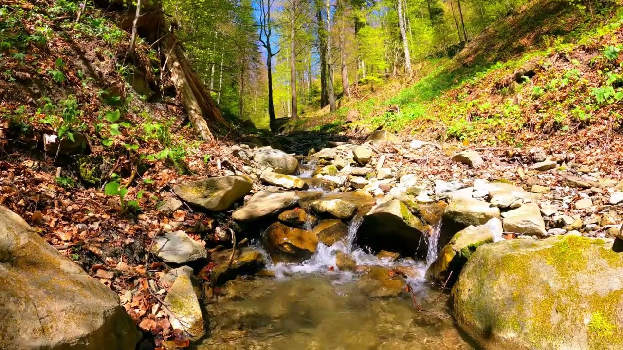 10 Hours of Soft River Sounds – Relaxing Nature ASMR for Sleep #asmr #sleepsounds #asmrsounds #news