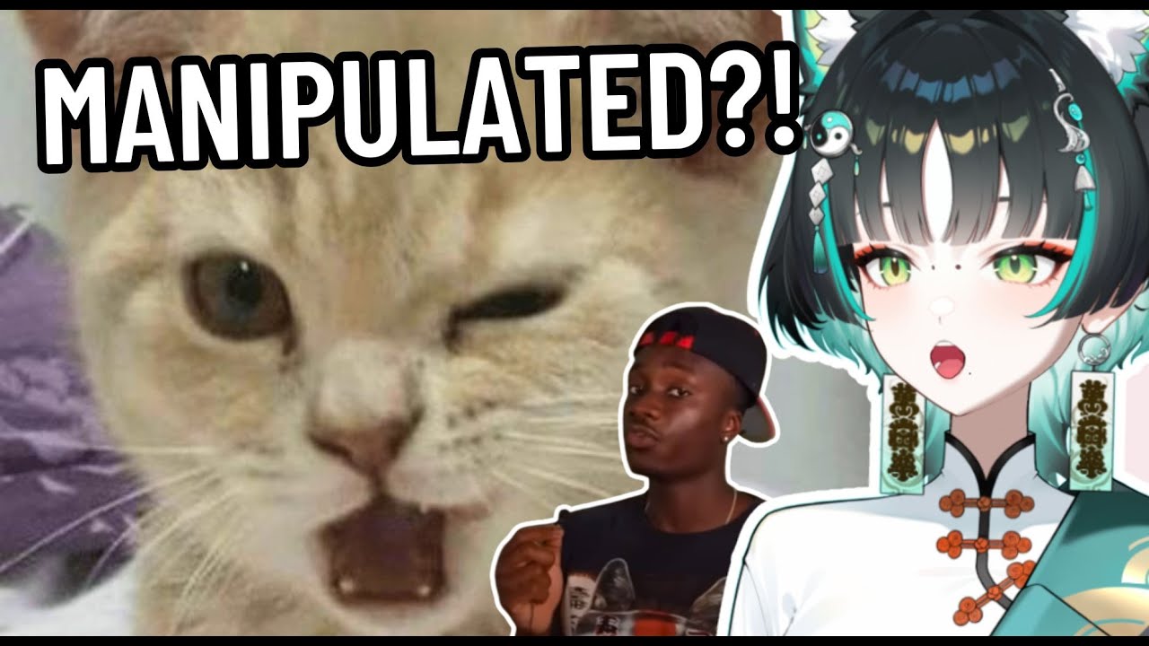 The INSANE Plot Armor of Cats | MuuRain Reacts to Casual Geographic