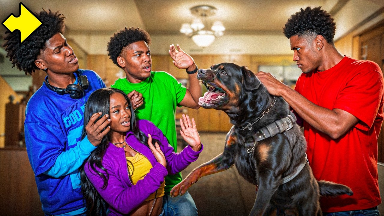 Our NEIGHBOR TRAINED His DOG To Attack US!