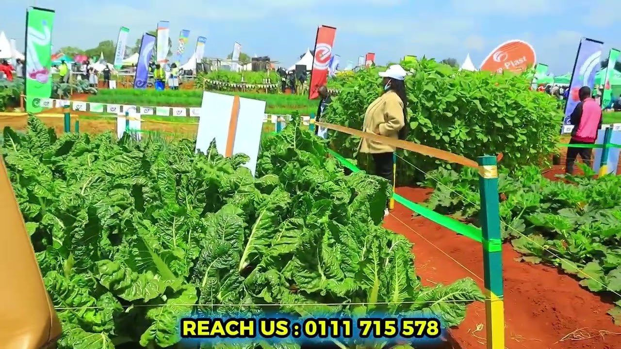 WAMBUGU FARM SHOW 2025 | OUR DEMO FARM & CLIENT INTERACTIONS 🚜( BIOZONE KENYA)