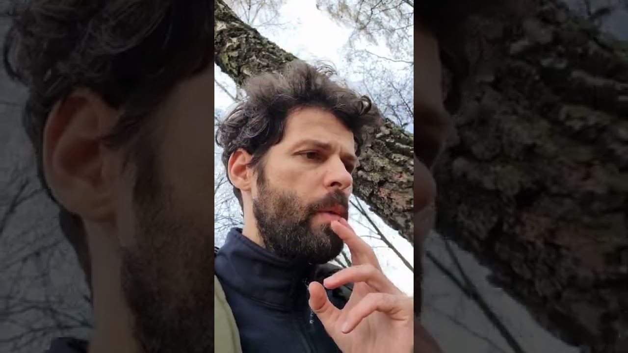 Distrugere Catastrofală (vis de la Domnul)