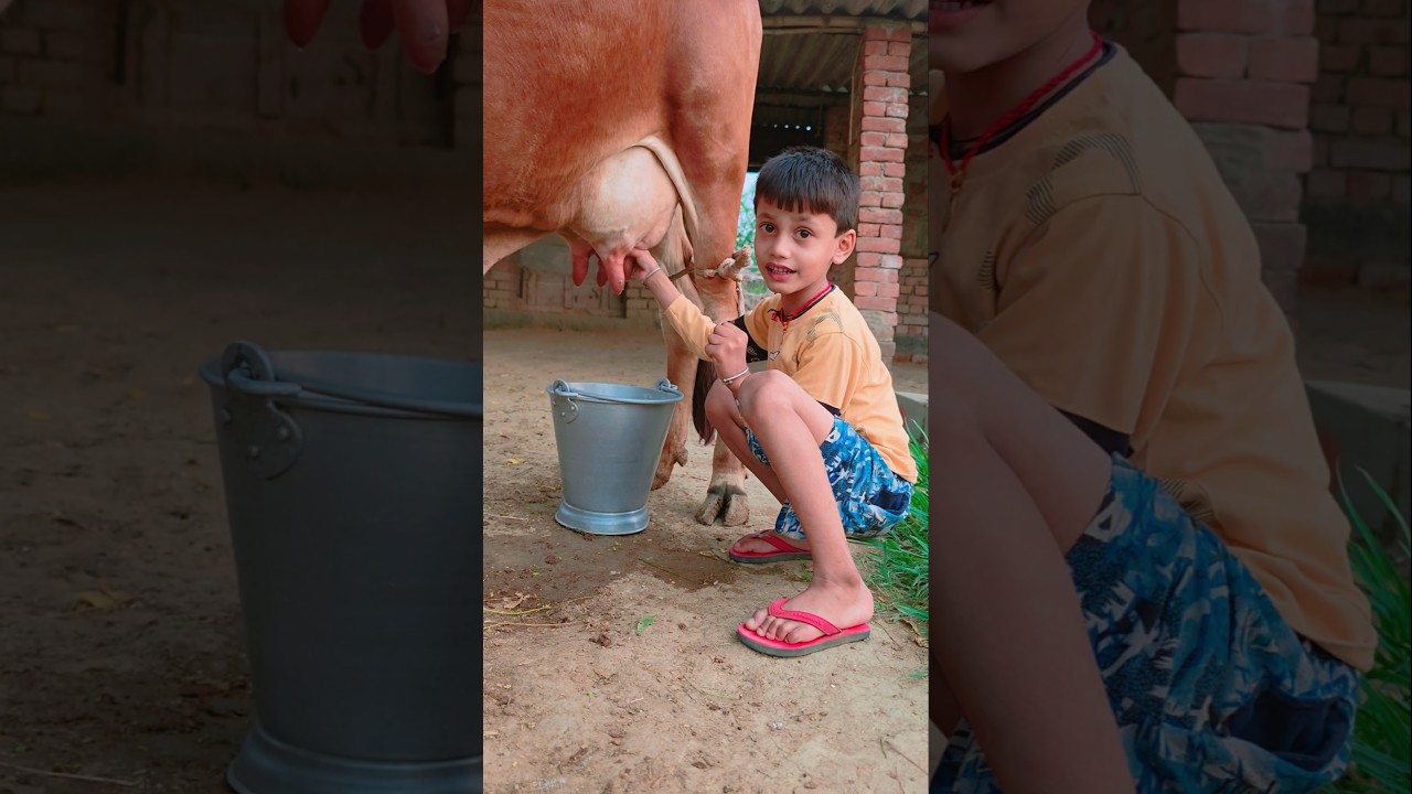 choti choti gaiya #cow #animals #story gg