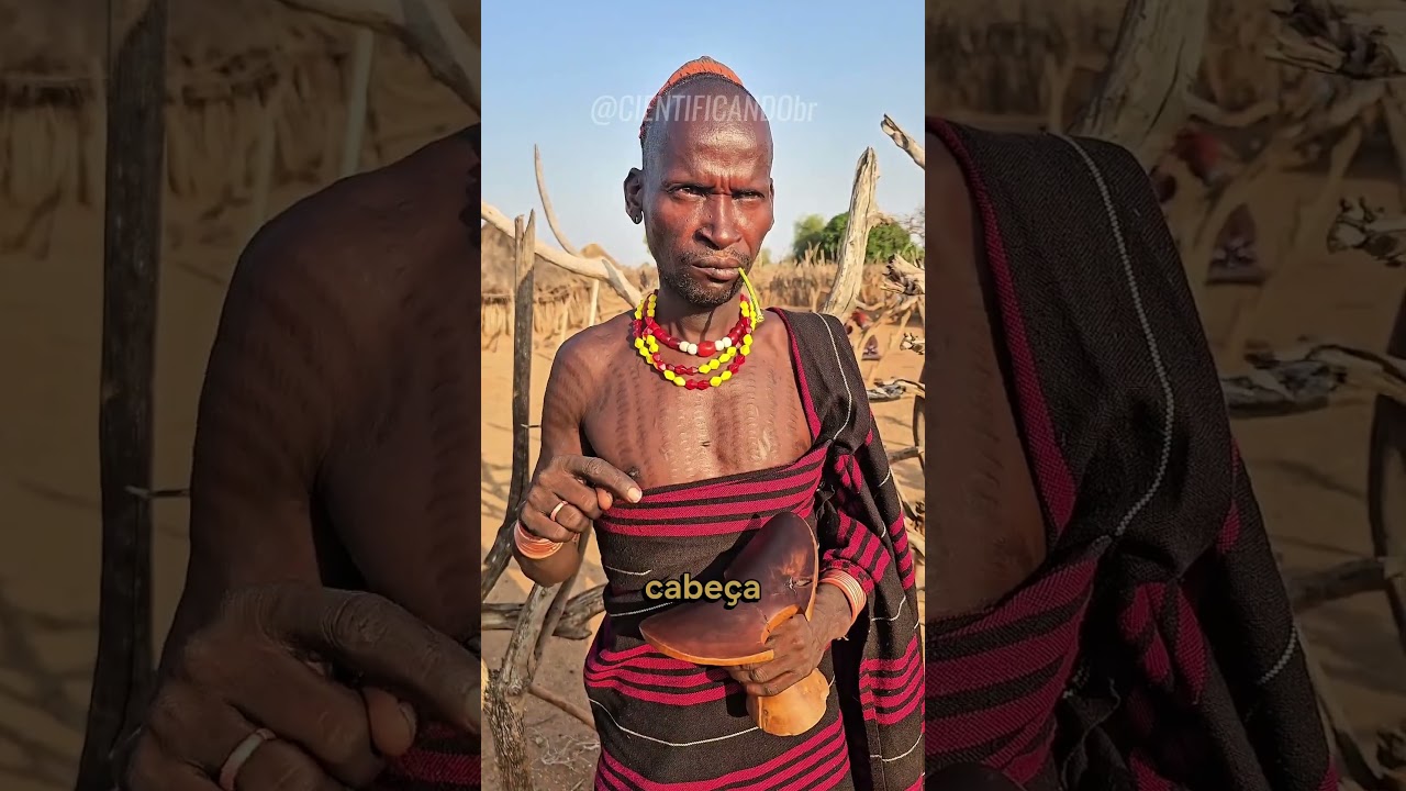 Porque eles dormem na madeira!? 🤔 #fatoscuriosos #fatosdesconhecidos #curiosidades #vocesabia #fatos