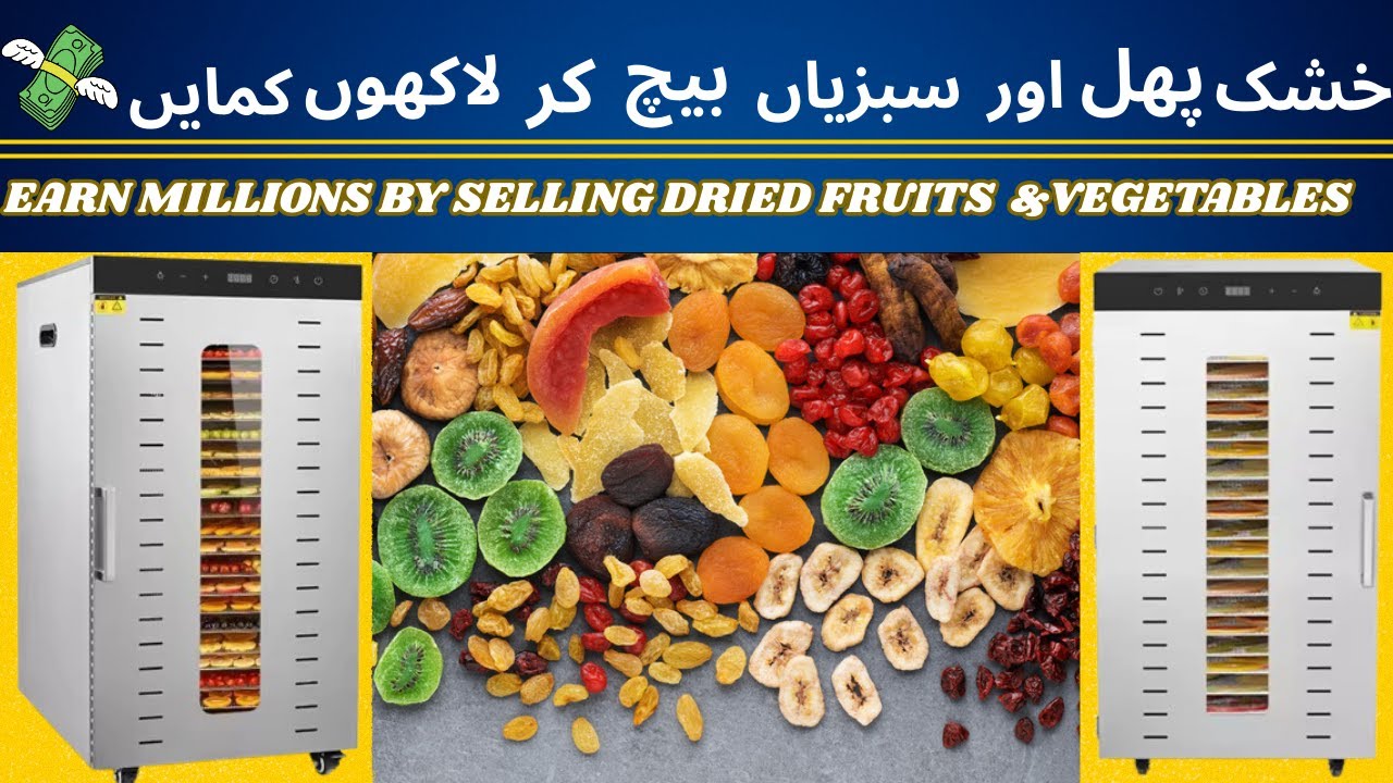 Food dehydrator in Pakistan dry mango business business idea dry fruits Turmeric Making Business