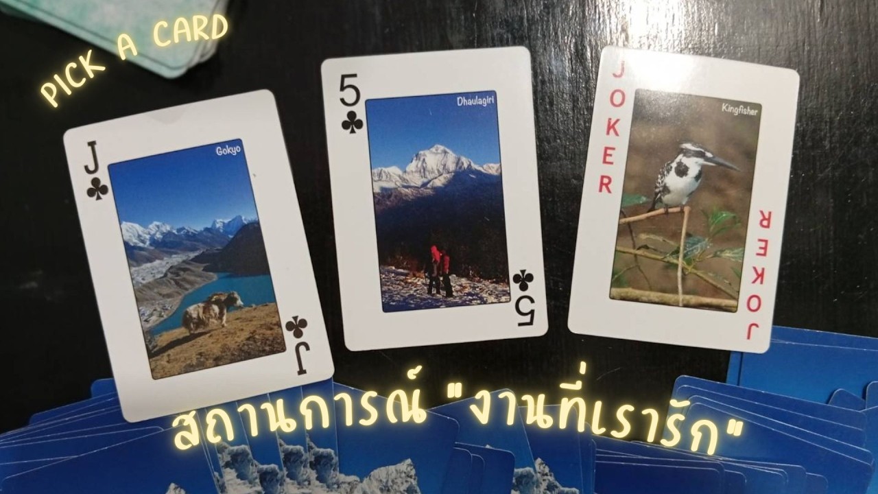 TAROT THERAPY l Pick a card สถานการณ์ 