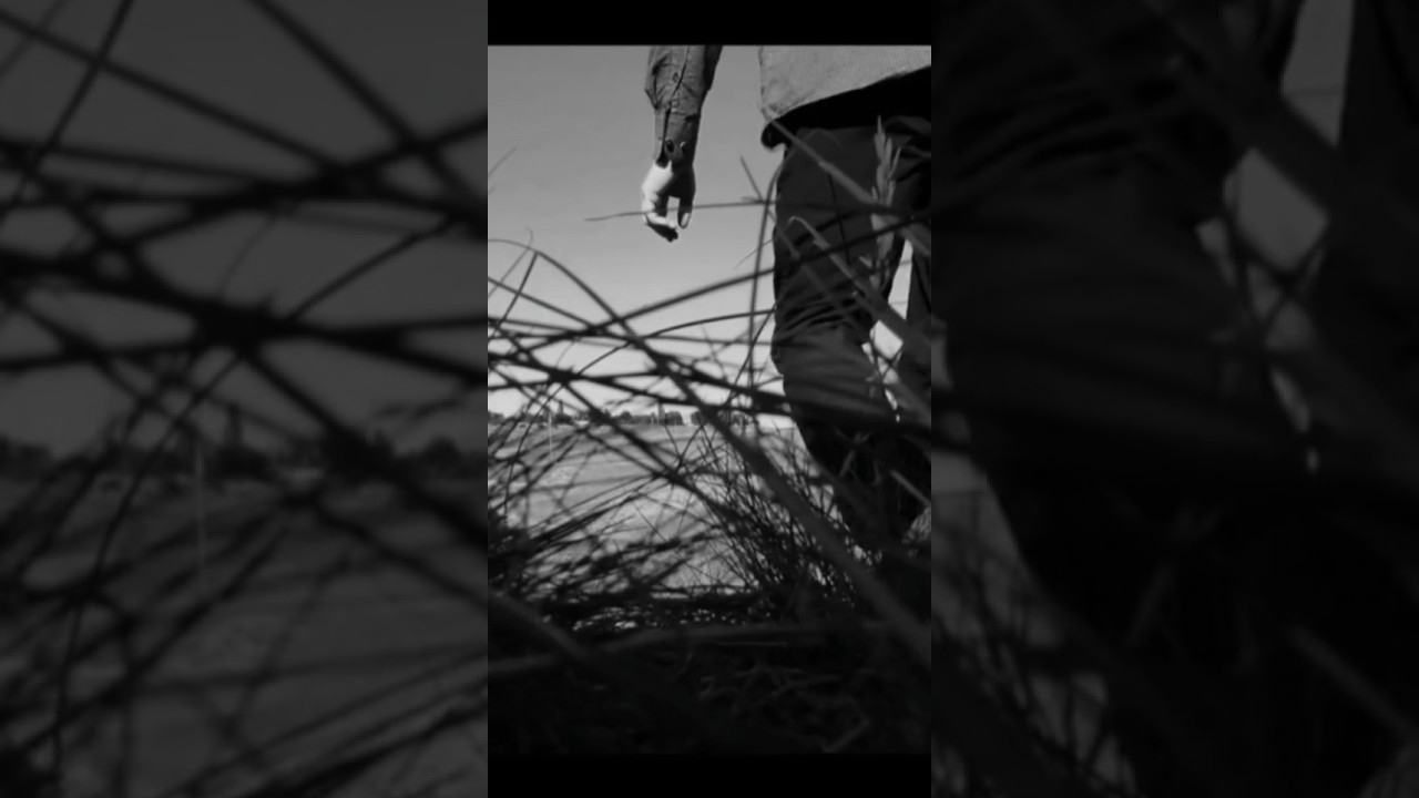 мне внушили чувство вины 