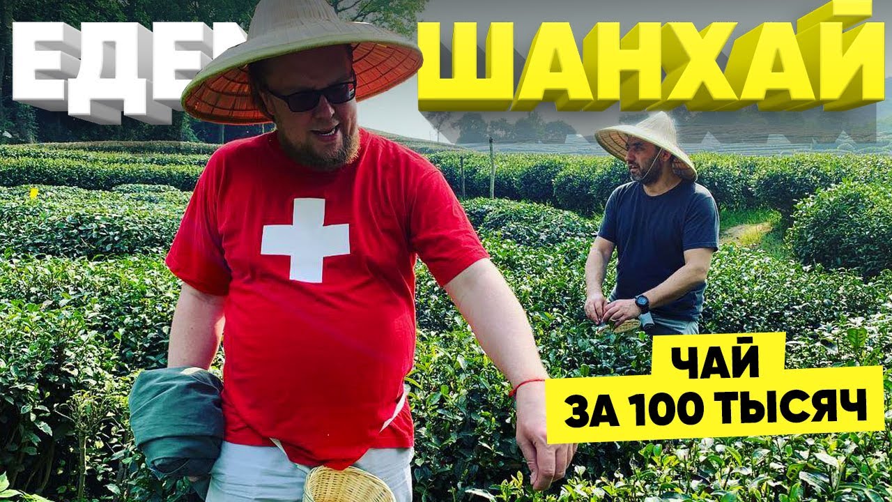Едем в Шанхай/День пятый/Как правильно собирать чай