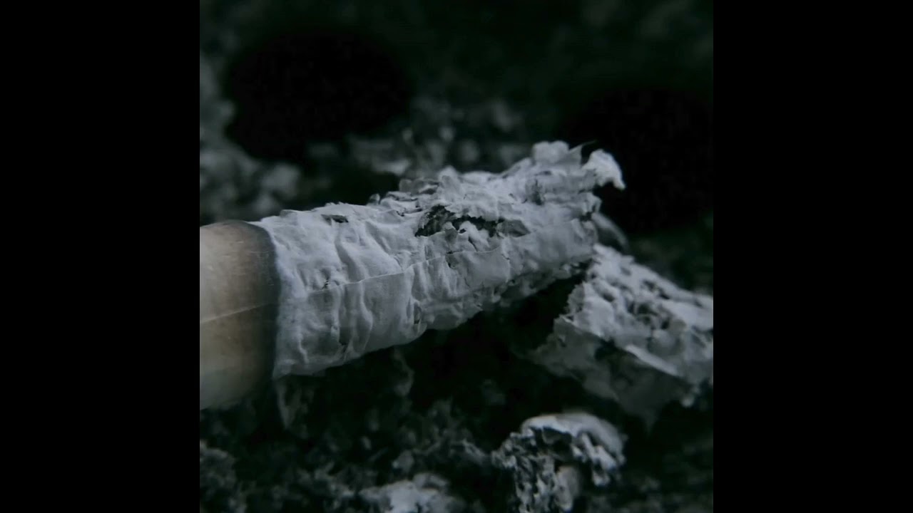 Ashes 2 dust