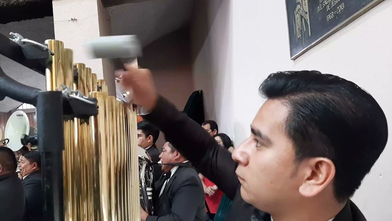 Las Tortugas