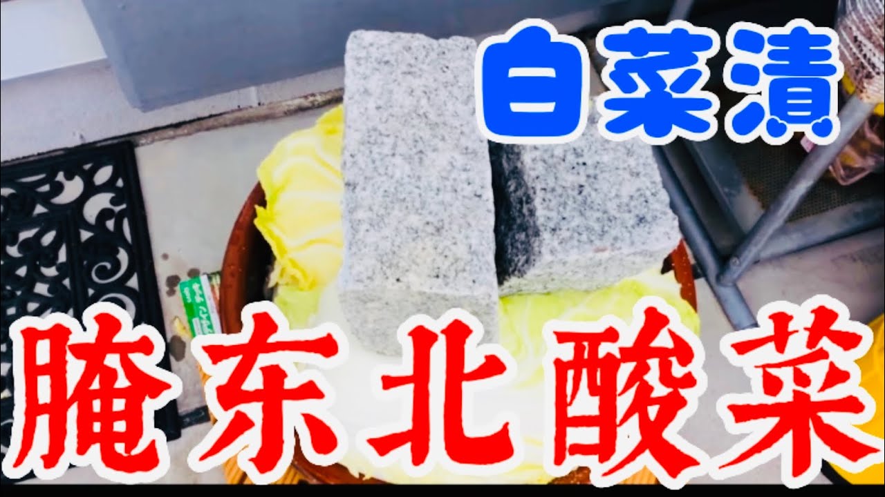 【超健康的】激ウマ！中国東北の発酵食品「酸菜」を漬けてみた！ー我们腌了贼好吃的东北酸菜！