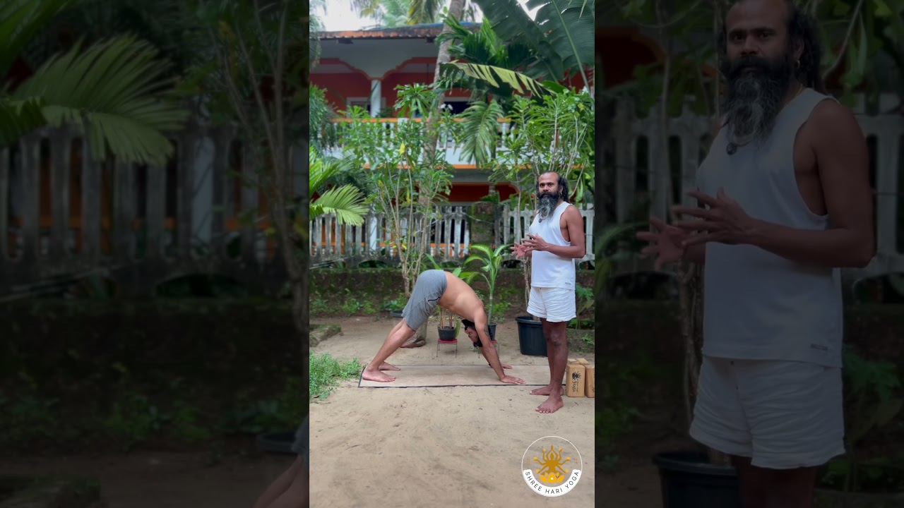 Downward Dog Alignment Tips | Proper Ankle & Pelvis Adjustment with Hari Ji | Shree Hari Yoga