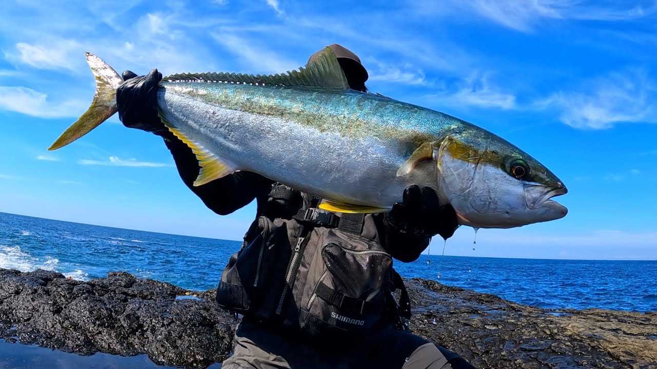 人生初ヒラマサを追った５日間【長崎県】