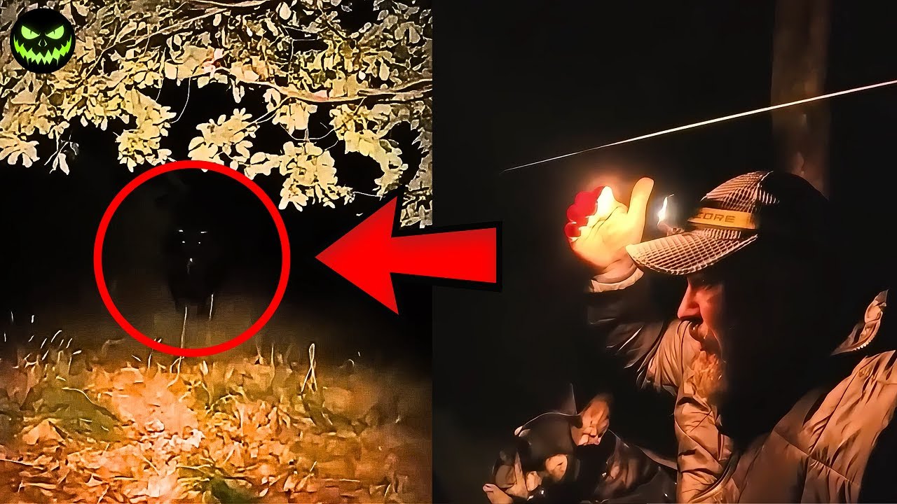 5 Experi&ecirc;ncias Perturbadoras em Acampamentos Gravadas por Youtubers