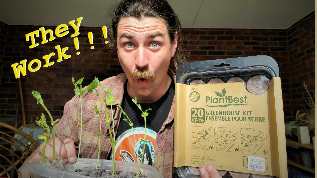 Plant Best Greenhouse Kit Full Review | Gardening From Seed